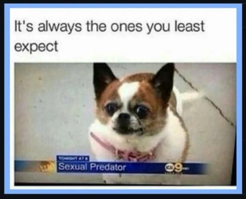 ones-you-least-suspect