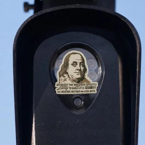 franklin-flock