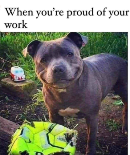 12767
