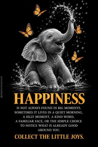 05:12:56 GMT-0500