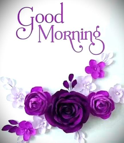 092226 - GM purple flwrs