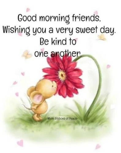 06:23:11 GMT-0500