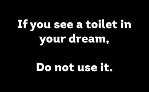 see-dream-toilet-do-not-use