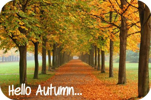 autumn 3