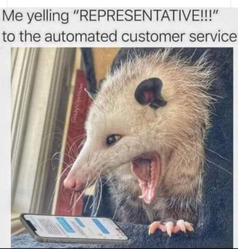a representative f