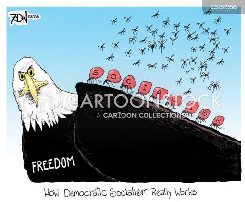 DSA SOCIALISM