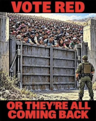 illegal immigration548