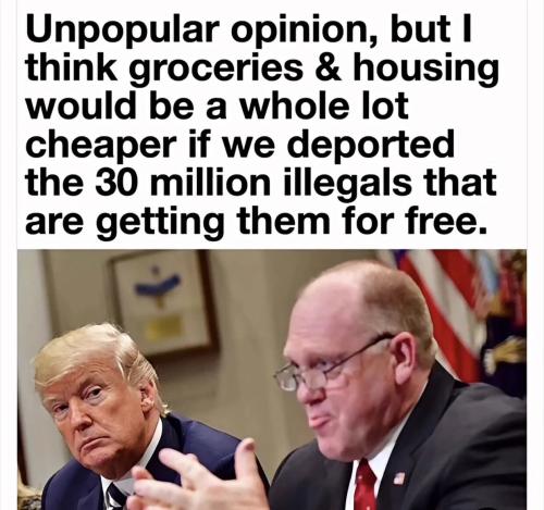 cheaper-if-we-deported-illegals