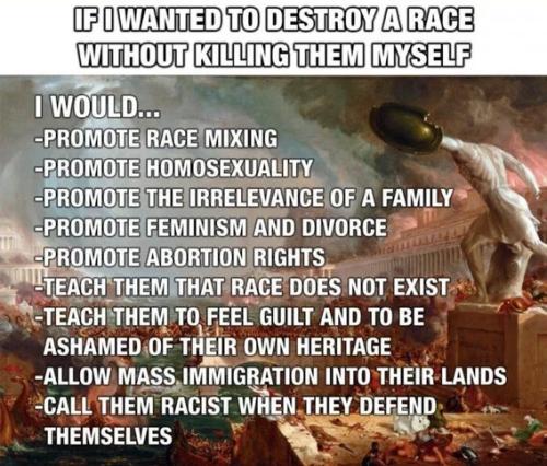 if-i-wanted-to-destroy-a-race
