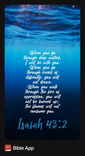 unnamed-211