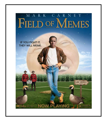 field of memes
