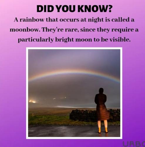 FB_IMG_1788960259176