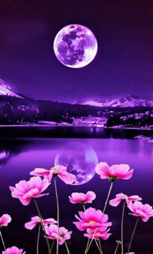 19:21:46 GMT-0700
