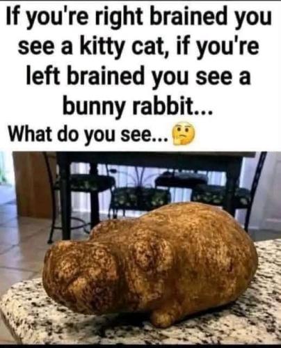 FB_IMG_1788828211025