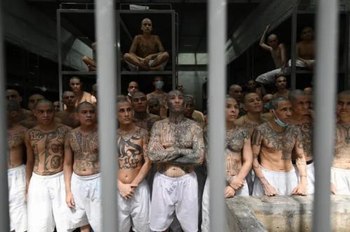 ms-13-tren-de-aragua-6-mexican-cartels-officially-designated