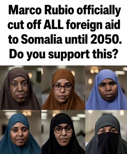 1788545686724
