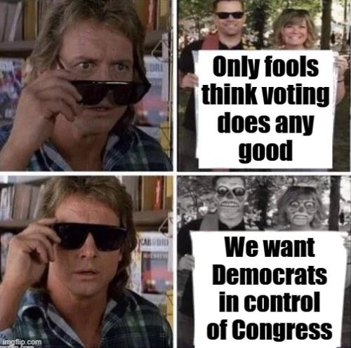 voting
