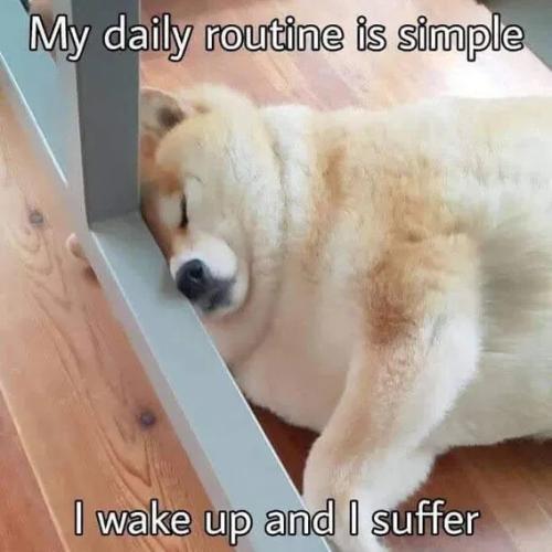 6342