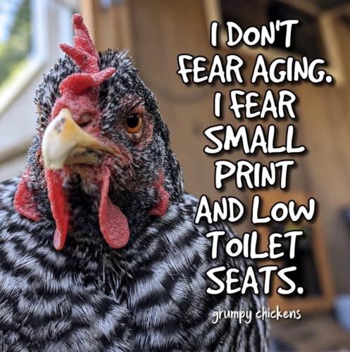 fear-small-print-low-toilet-seats