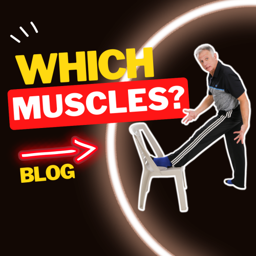 Which Muscles Do You NEED to Stretch in Your Body (Instagram Post)