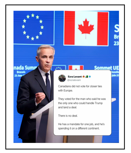 did not vote