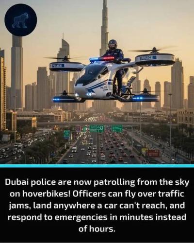 dubai-police