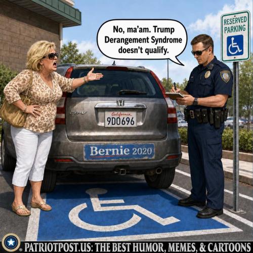 meme-tds-handicapped-space