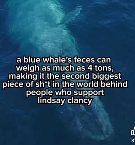 09:49:05 GMT-0400