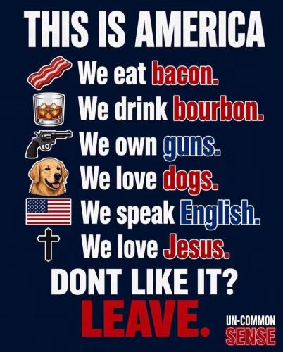 0e88e9cbfba539396672c6722126fdaa_1024