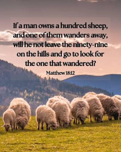 Matthew 18 12 2026 II