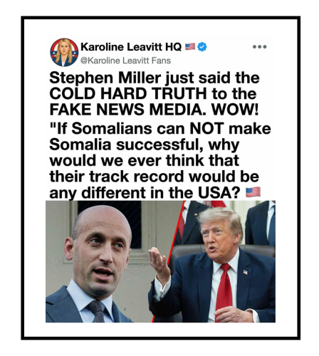 fake news media