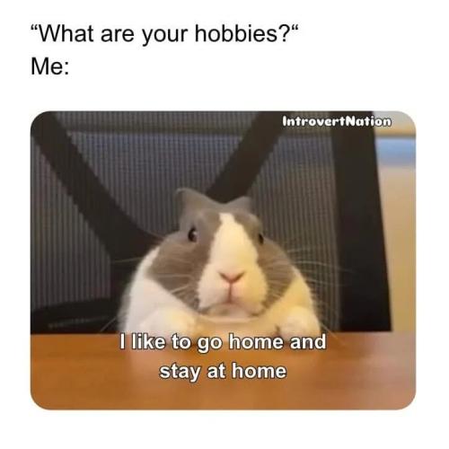 hobbies