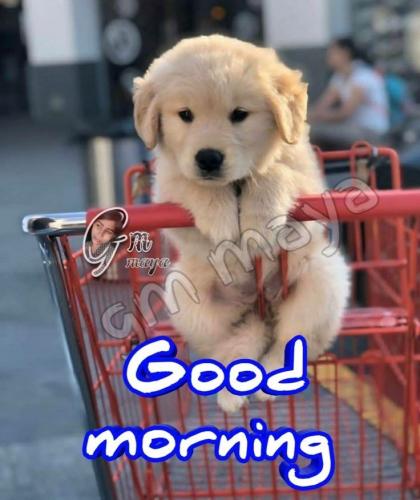 da24f3db97006c99c2828114b59fddfe