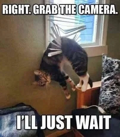 6408