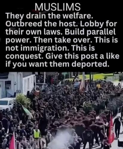 muslim156