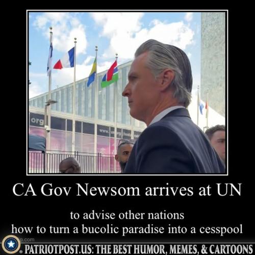 meme-newsom-un