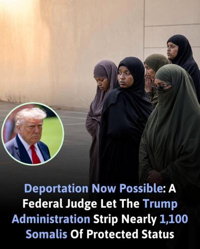 817417522_1626669712156867_4708076064832291458_n.png