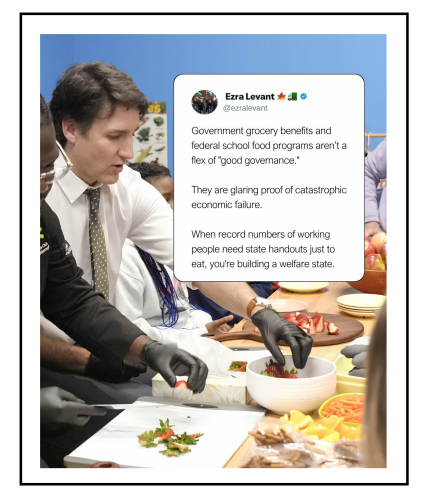 grocery benefits