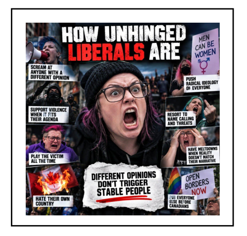 how unhinged liberal are