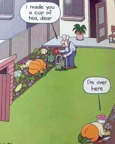 funny 11