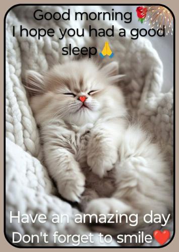 2f1c2ef82f9b01a1aee64c48acb92d30