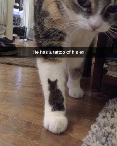 trattoo-of-ex