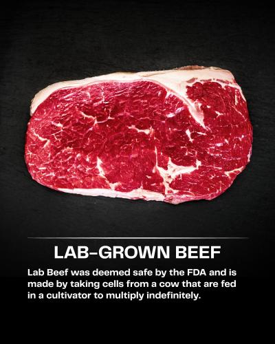 lab grown beef