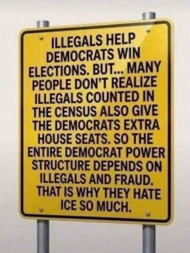 Illegals and house seats