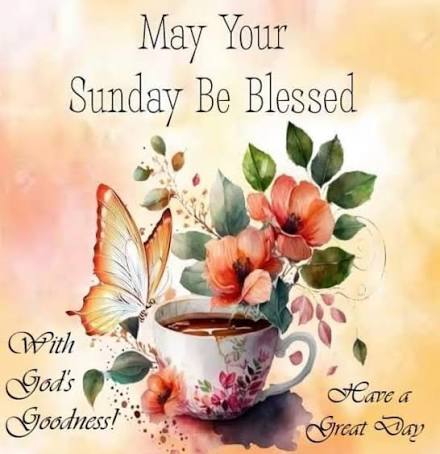 GOOD MORNING - SUNDAY images-27
