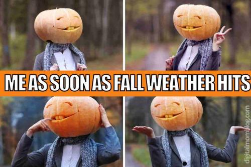 fall-weather-meme-funny