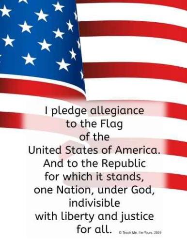 pledge 01