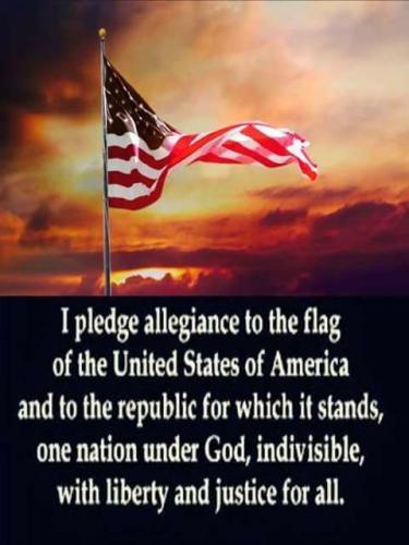 pledge 132