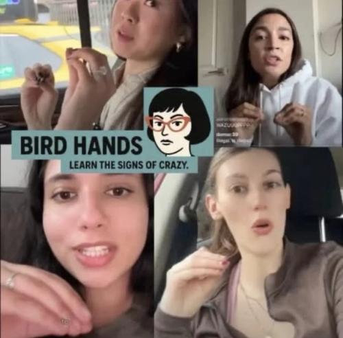 bird-hands