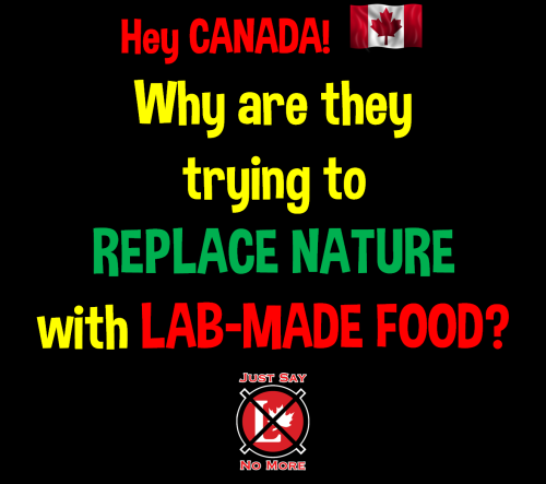 hey canada lab-made food